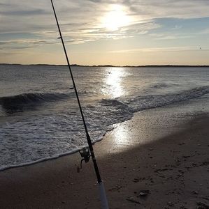 Meet your Posher, Barry